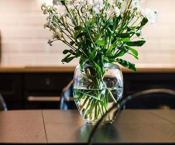 Happy Monte Cassino 44 A * 索波特