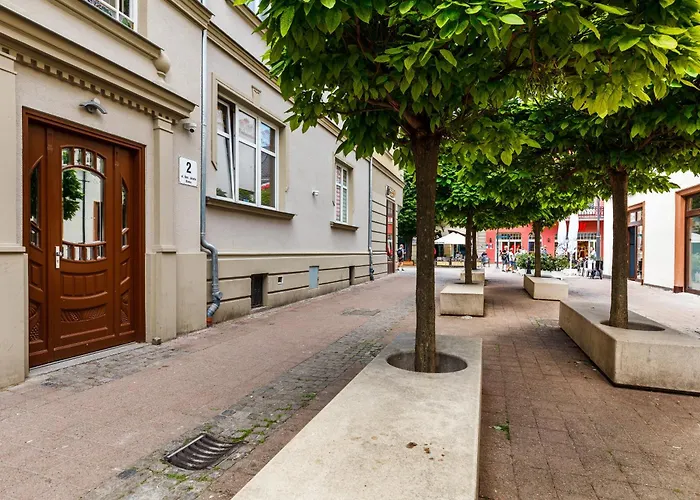 Happy Monte Cassino 44 A 소포트